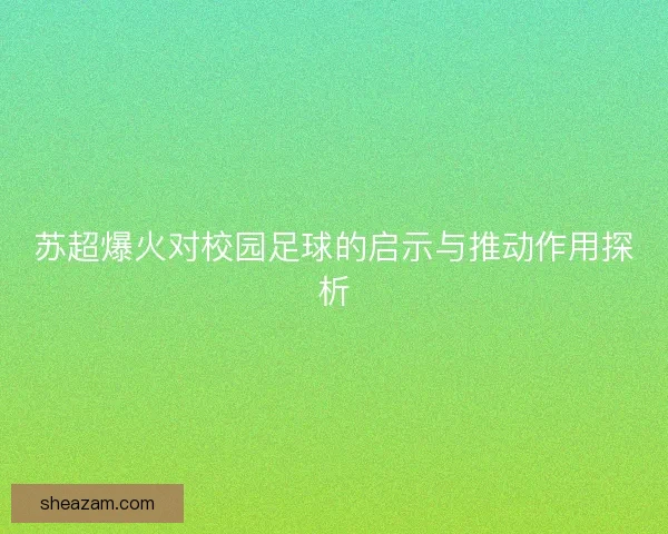 苏超爆火对校园足球的启示与推动作用探析